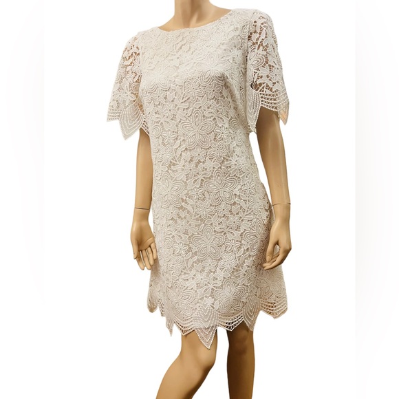 Anthropologie Charleston Lace Mini Dress Size 6 with Lining 100% Polyester - Picture 6 of 12